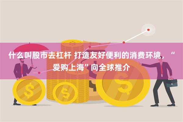 什么叫股市去杠杆 打造友好便利的消费环境，“爱购上海”向全球推介