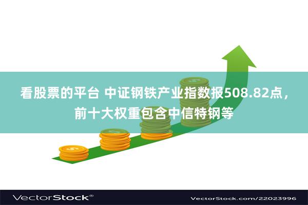 看股票的平台 中证钢铁产业指数报508.82点，前十大权重包含中信特钢等