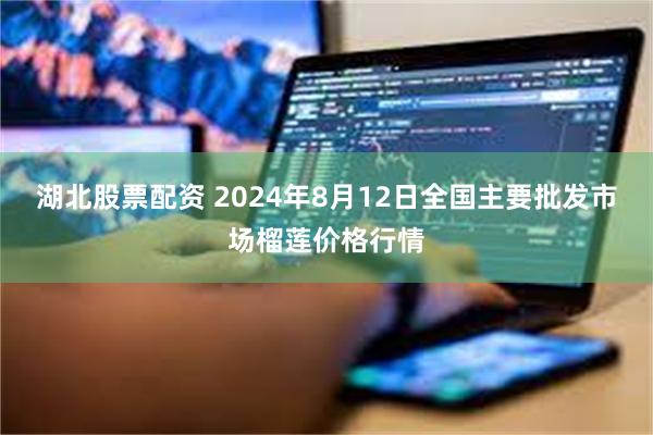 湖北股票配资 2024年8月12日全国主要批发市场榴莲价格行情