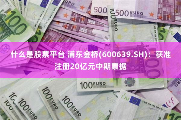 什么是股票平台 浦东金桥(600639.SH)：获准注册20亿元中期票据