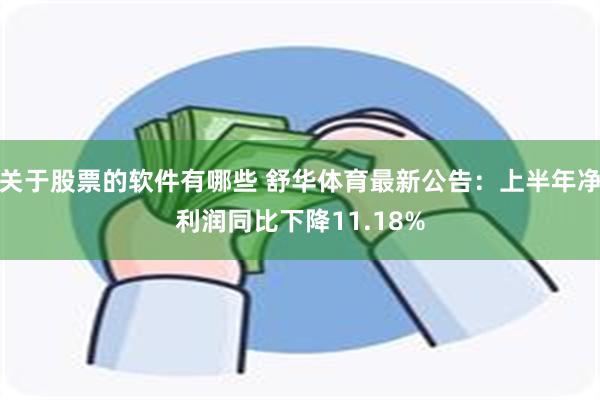 关于股票的软件有哪些 舒华体育最新公告：上半年净利润同比下降11.18%