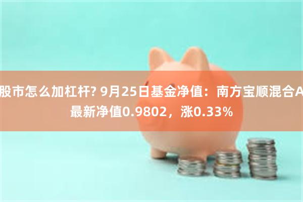 股市怎么加杠杆? 9月25日基金净值：南方宝顺混合A最新净值0.9802，涨0.33%