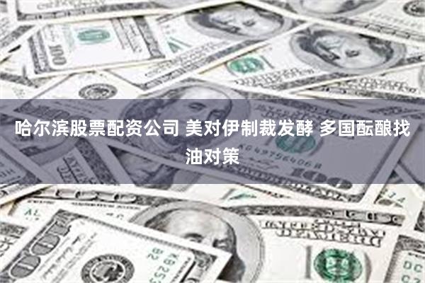 哈尔滨股票配资公司 美对伊制裁发酵 多国酝酿找油对策