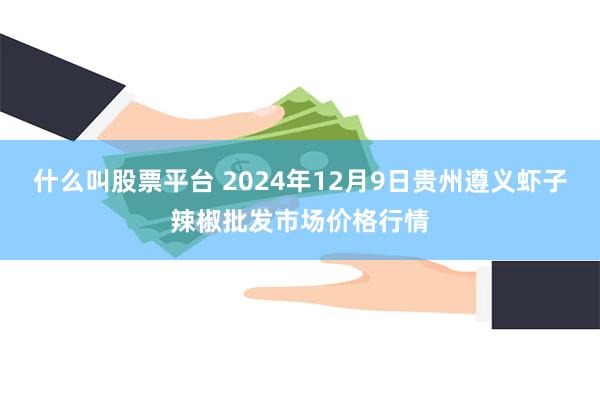 什么叫股票平台 2024年12月9日贵州遵义虾子辣椒批发市场价格行情