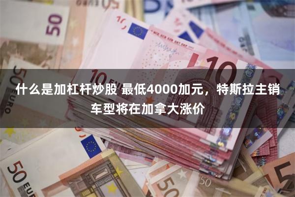 什么是加杠杆炒股 最低4000加元，特斯拉主销车型将在加拿大涨价