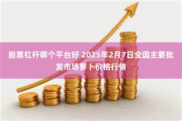 股票杠杆哪个平台好 2025年2月7日全国主要批发市场萝卜价格行情